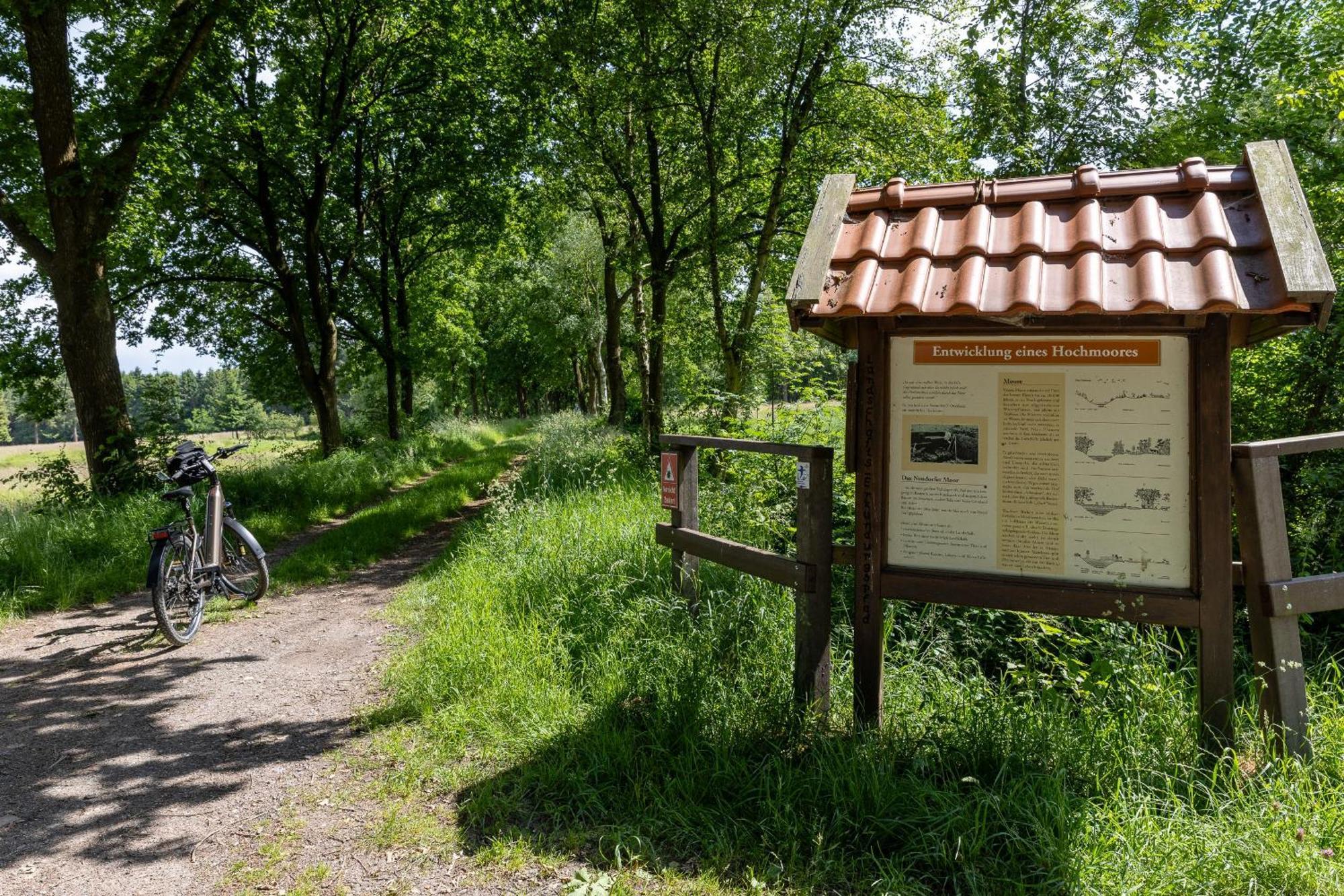 Ferienhaus Liegeplatz ダンガスト エクステリア 写真