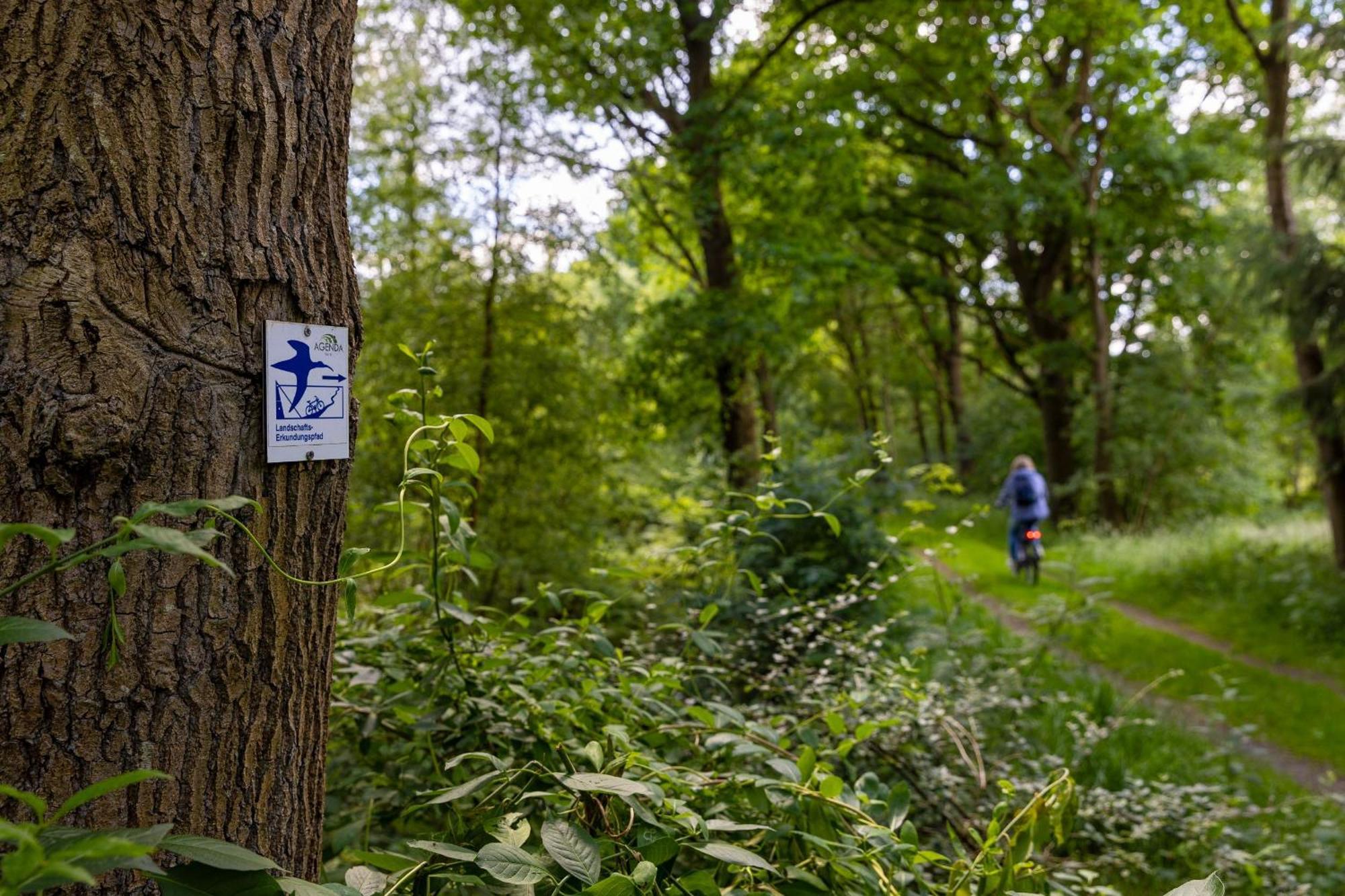 Ferienhaus Liegeplatz ダンガスト エクステリア 写真